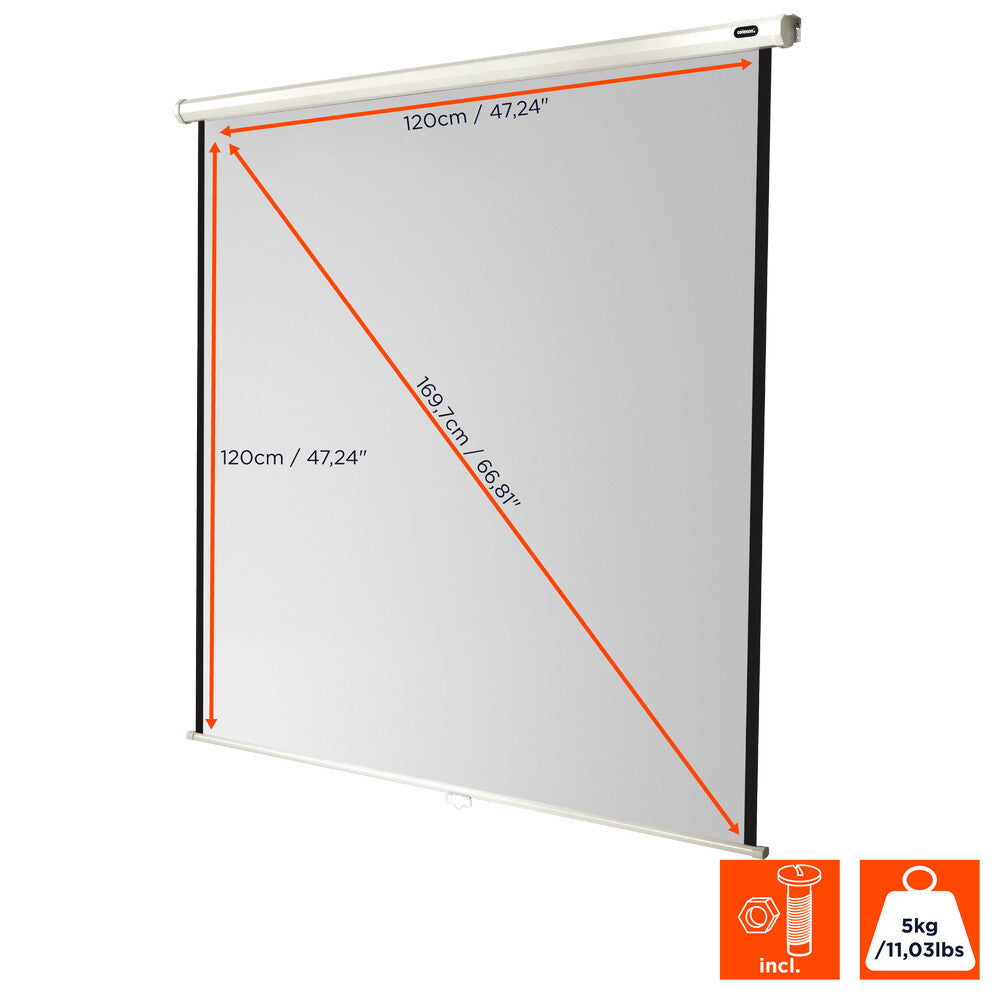 celexon Leinwand Rollo Economy 120 x 120 cm