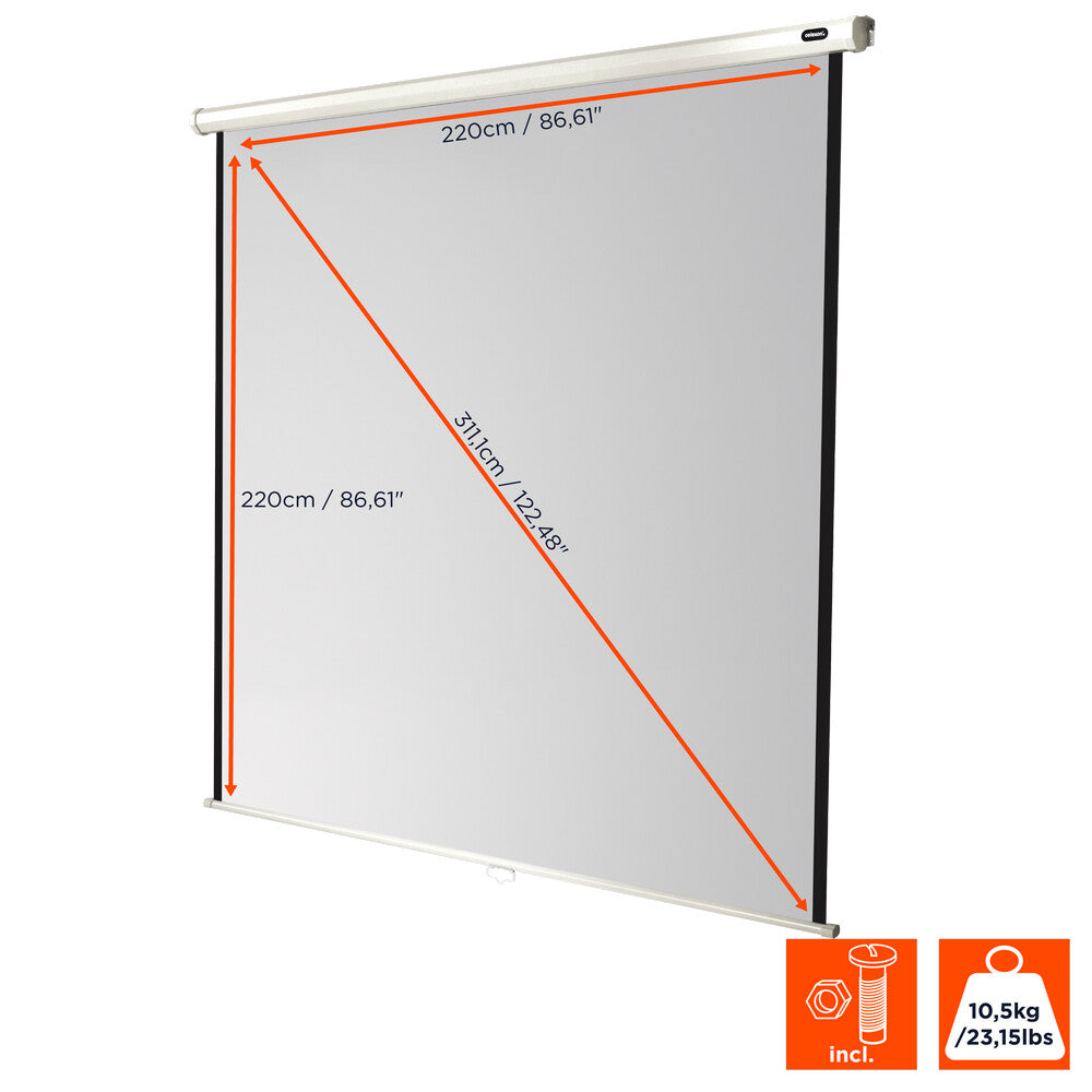 celexon Leinwand Rollo Economy 220 x 220 cm