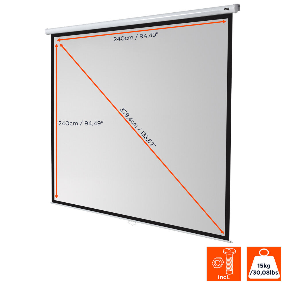 celexon Leinwand Rollo Economy 240 x 240 cm