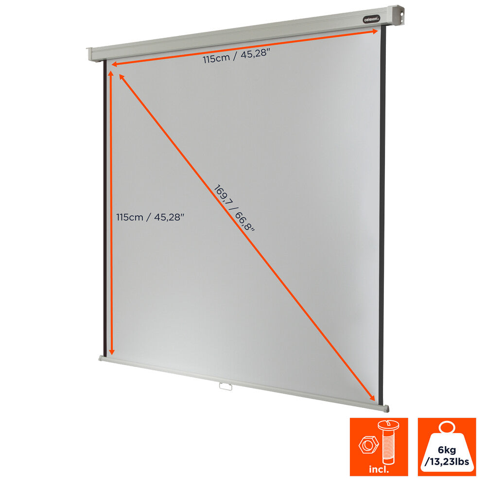 celexon Leinwand Rollo Professional 120 x 120 cm