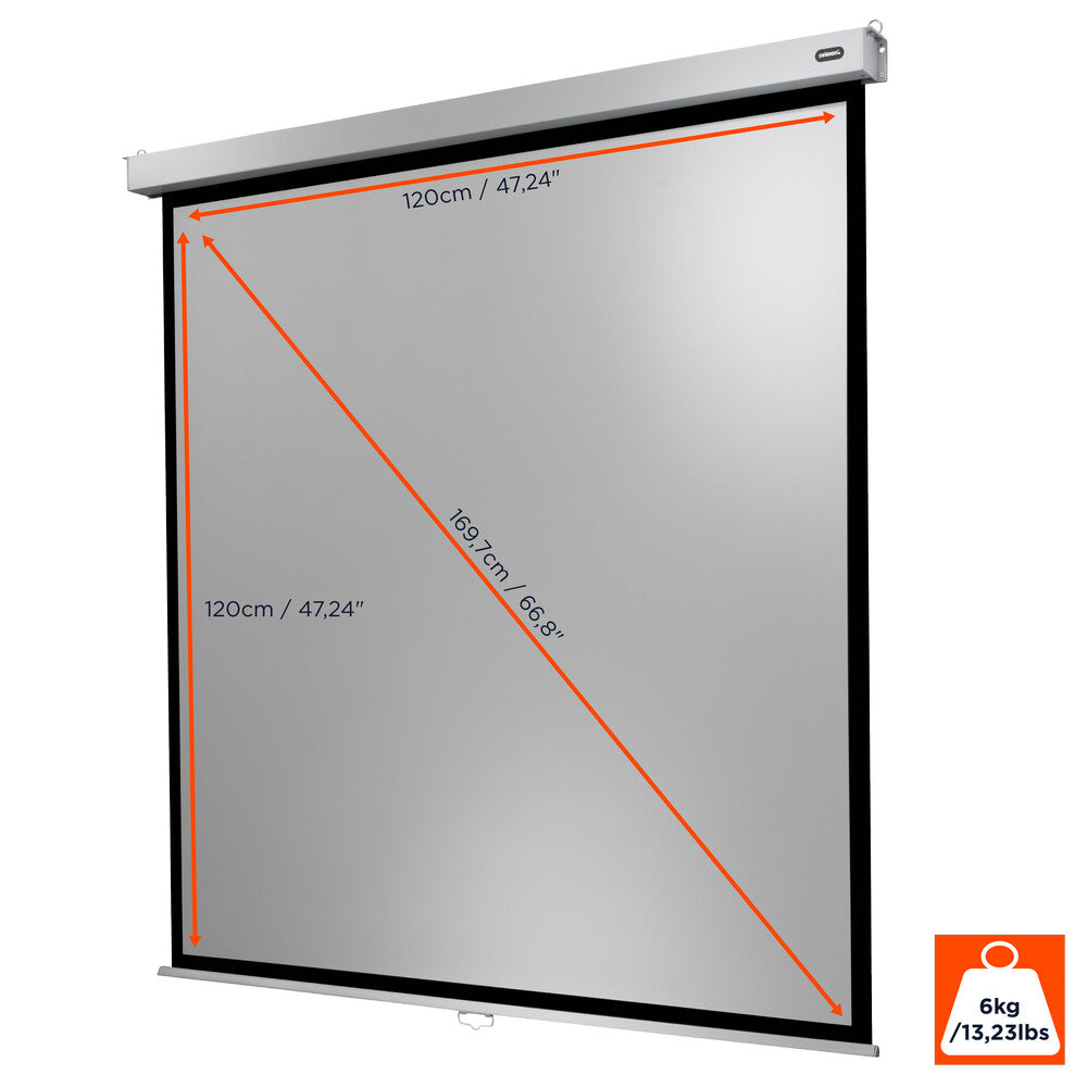 celexon Leinwand Rollo Professional Plus 120 x 120 cm