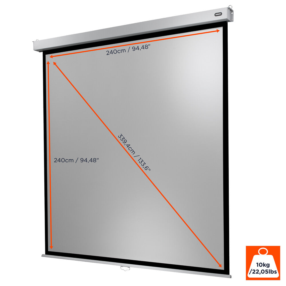 celexon Leinwand Rollo Professional Plus 240 x 240 cm