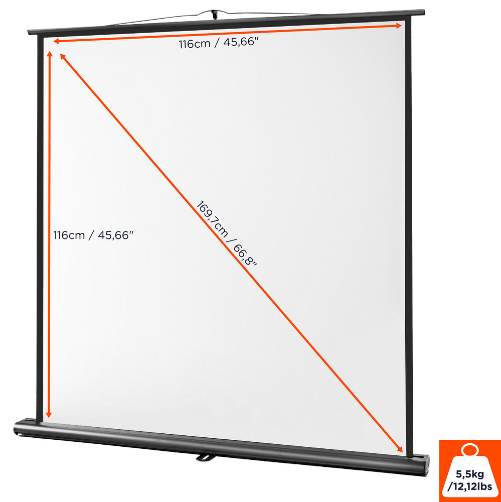 celexon Leinwand Ultramobil Professional 120 x 120 cm