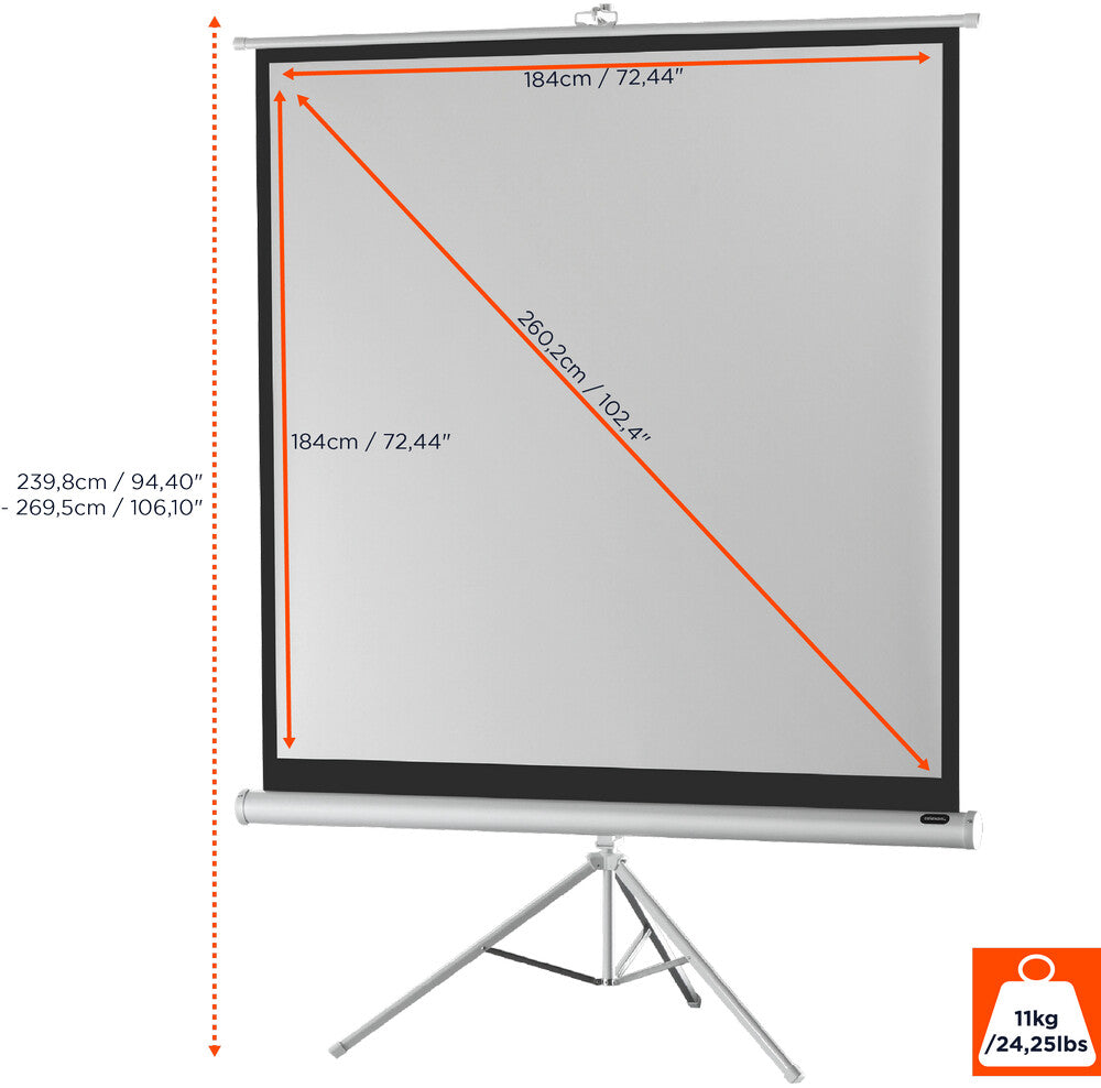 celexon Stativleinwand Economy 184 x 184 cm - White Edition