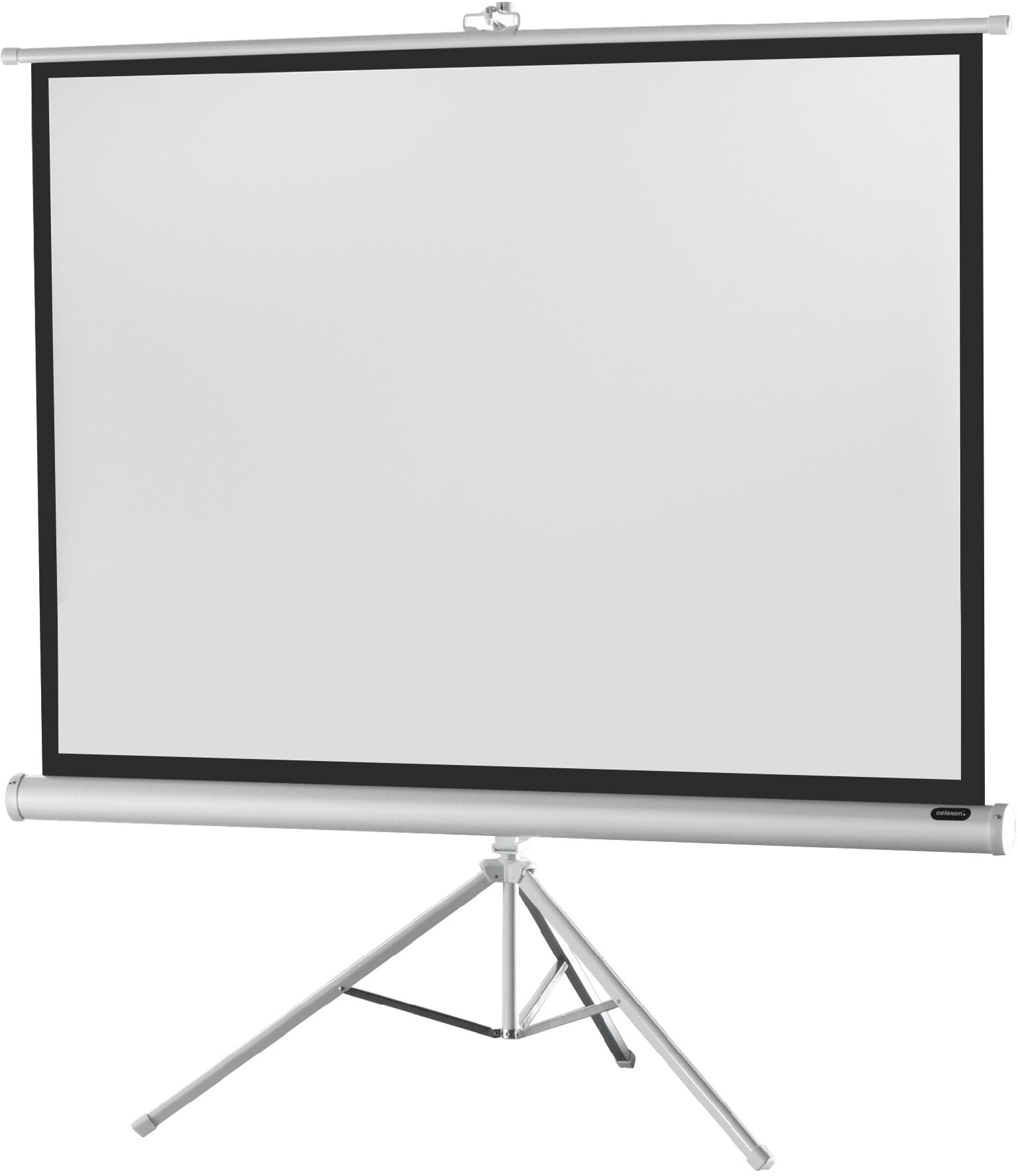 celexon-Stativleinwand-Economy-211-x-160-cm---White-Edition