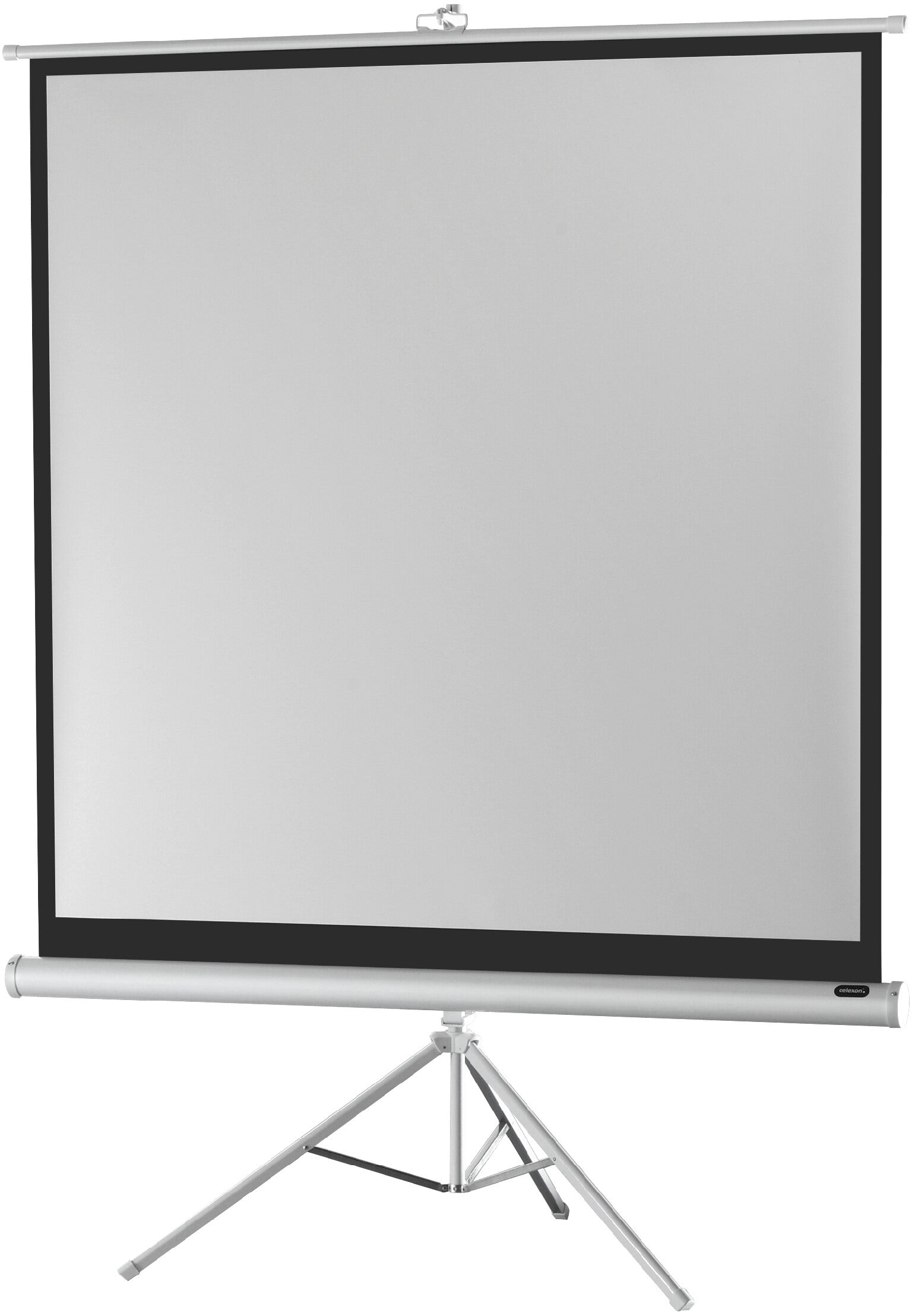 celexon-Stativleinwand-Economy-219-x-219-cm---White-Edition