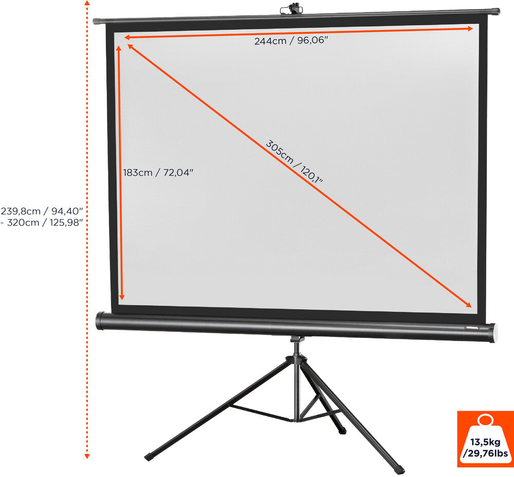 celexon Stativleinwand Economy 244 x 183 cm